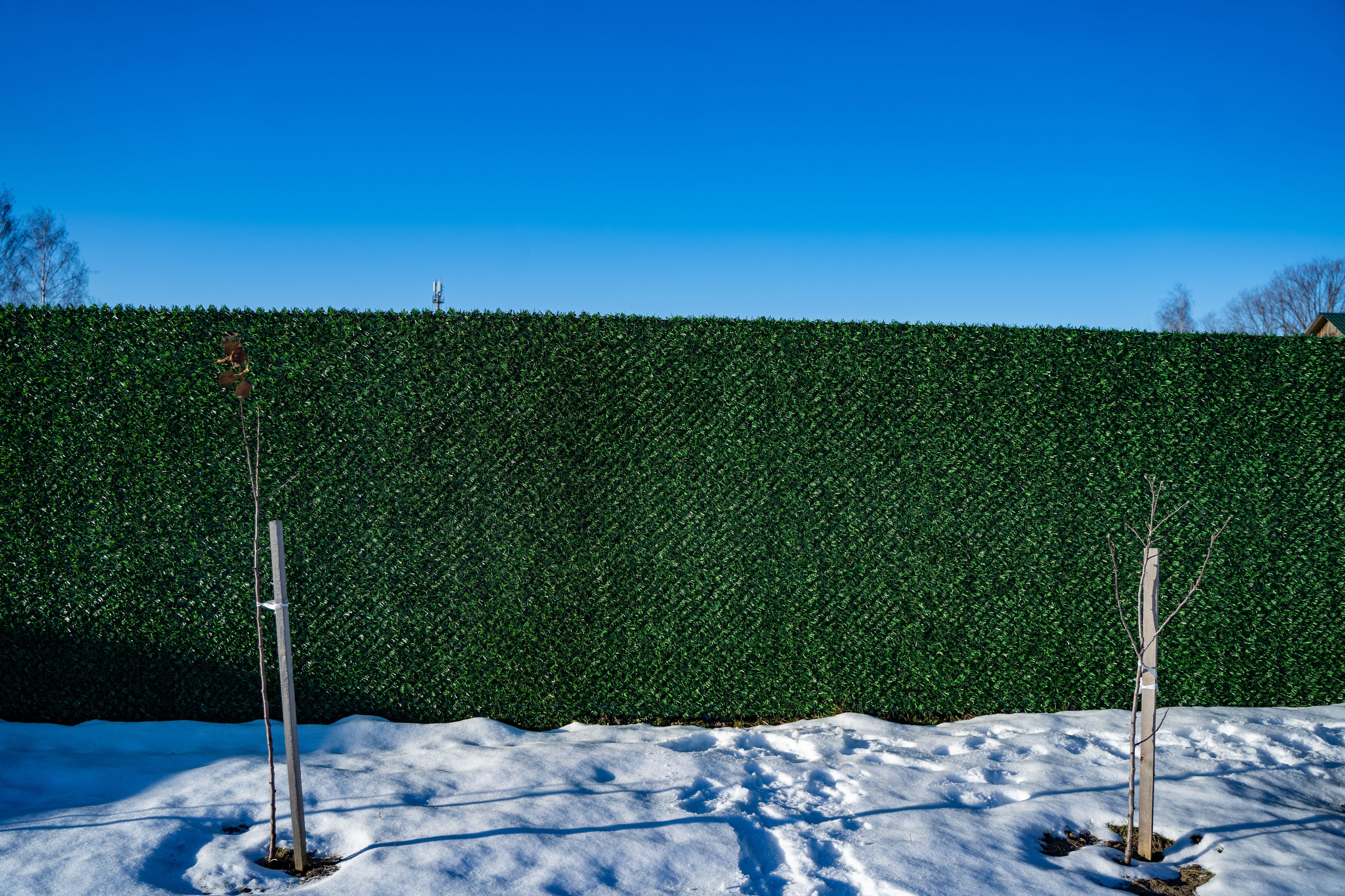 Вечнозеленый забор Grass Fence рулон 2м фото 8 в Сыктывкаре